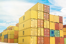 OUR GROWTH ARCHIVE