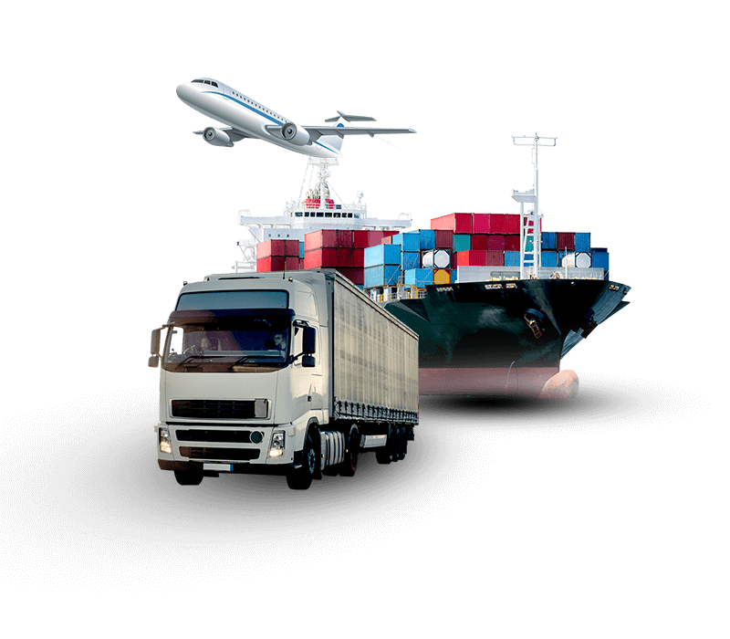 Export Business Lykis