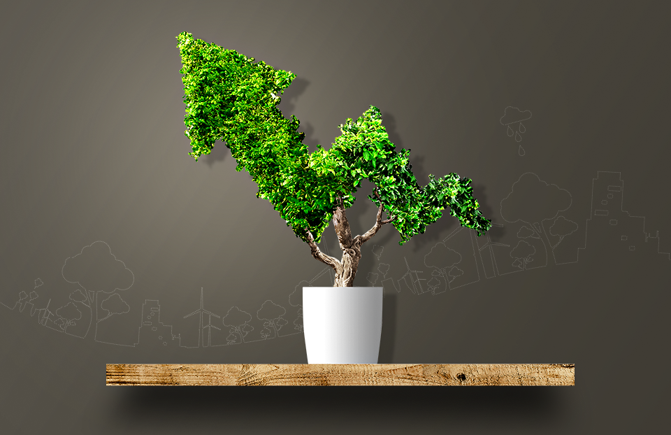 Sustainable Growth
